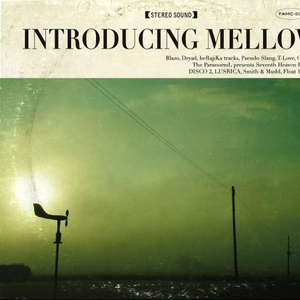 亚洲成熟咸人网站WW
